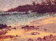 Albert Bierstadt Bahama_Cove oil on canvas